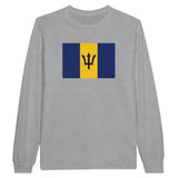 T-shirt manches longues barbade coton mélangé drapeau couleur
