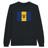 T-shirt manches longues barbade coton mélangé drapeau couleur