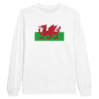 T-shirt manches longues drapeau pays de galles coton mélangé