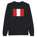 T-shirt manches longues pérou couleur coton mélangé doux