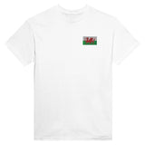 T-shirt pays de galles broderie couleur coton épais