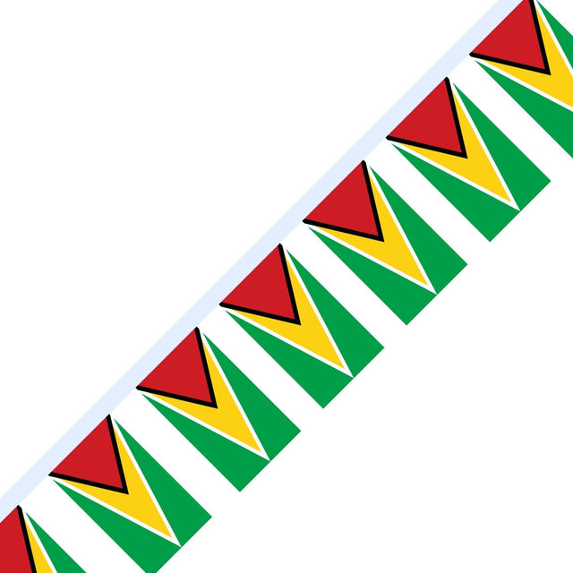 Guirlande Drapeau du Guyana en plusieurs tailles - Pixelforma 